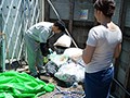 月・水・金のゴミの日の朝、夫に内緒で時短中出しされる人妻 友田真希1