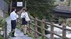 女教師NTR 学年主任の妻が教頭先生と修学旅行の下見へ行ったきり… 月乃ルナ11