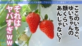 今日、会社サボりませんか？50in荻窪 永瀬ゆい-10