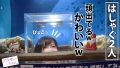 アラサーちゃん。2人目 ふうかちゃん 結城りの-10
