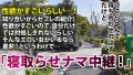 アラサーちゃん。9人目 しほちゃん 如月夏希-1
