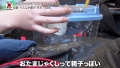 カリギゅラfile.05 うららか麗-7