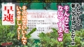 自信満々に仕掛けてきた美女がグチャグチャに果てる姿は最高ですね！！！：case06 星乃水音-5