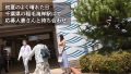 at 千葉県千葉市 稲毛海岸駅前 久松美晴-1