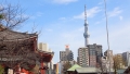 マジ軟派、初撮。 1922 泉田栞-1