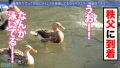 今日、会社サボりませんか？in練馬 桃瀬くるみ-8