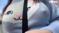 ぱいぱいズリ子。 内田すみれ-2