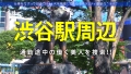 今日、会社サボりませんか？In渋谷 本田瞳-1