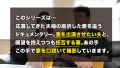 TNB8人目 花撫あや-1