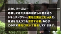 TNB9人目 望月ゆり-1