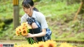 何もない田舎で幼馴染と、汗だく濃厚SEXするだけの毎日。 case.10 美ノ嶋めぐり-1