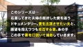 TNB11人目 市河明日菜-1