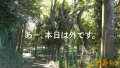 全国人妻野外チョメ＃001 あべ藍-1