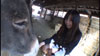一泊二日、美少女完全予約制。 あやめ美桜 一泊二日、美少女完全予約制。 あやめ美桜