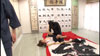 加藤リナが○○しながらエロまみれ 加藤リナ