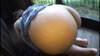 一泊二日、美少女完全予約制。~上原 瑞穂の場合~ 上原瑞穂 一泊二日、美少女完全予約制。~上原 瑞穂の場合~ 上原瑞穂