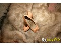 素人すっぴん生中出し032 ユイカ20歳 ビル管理会社 ウ●トラの母20