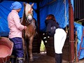 調教されたエリート乗馬騎手 吉沢明歩3